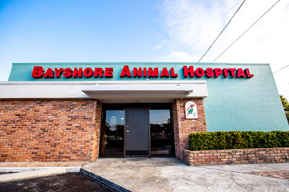 bayshore animal hospital florida