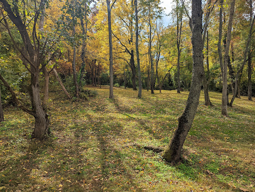 Woodsboro Park - Thumbnail