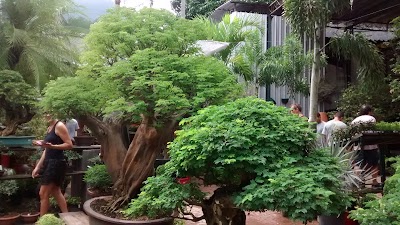 Photos of Ch&aacute;cara Tropical