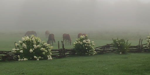In The Heavenly Places - United States