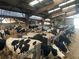 Photo n°2 de La ferme du sapin bleu à Cesseville (Fournisseur de glace)