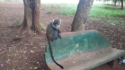 Photos of City Park