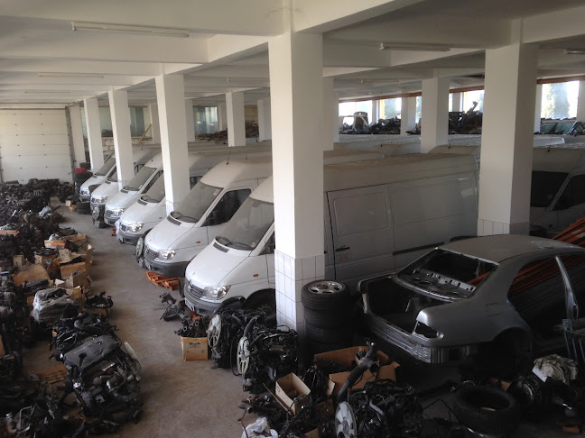 Conexiuni impex Nelu Mercedes