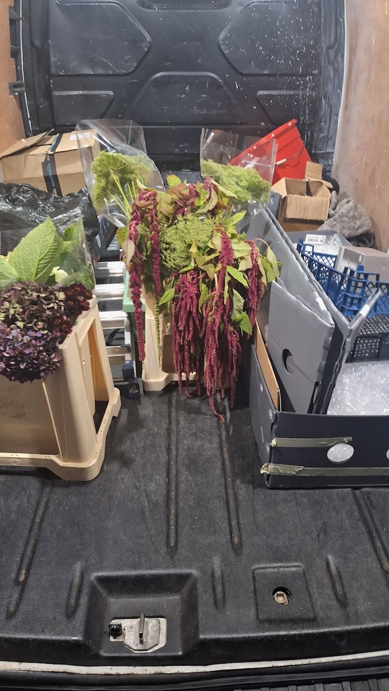 Drift Couriers | Liverpool photo 3