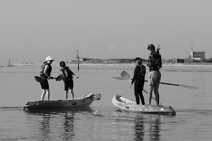 Photo n°5 de Cercle Nautique de la Ria d'Étel à Étel (Club de voile)