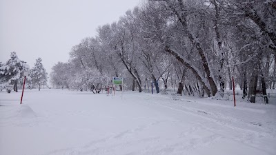 Photos of Ataturk Culture Park Picnic Area