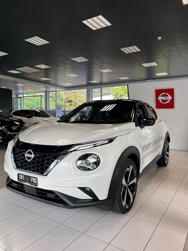 Bertoni Automobili SA / Renault-Nissan-Jeep-Peugeot - Thumbnail