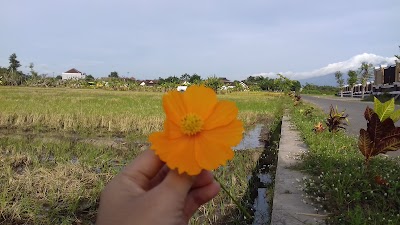 Photos of Lokasi Tanah Pekarangan Karanglo