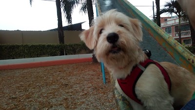 Photos of Parque Los Faroles