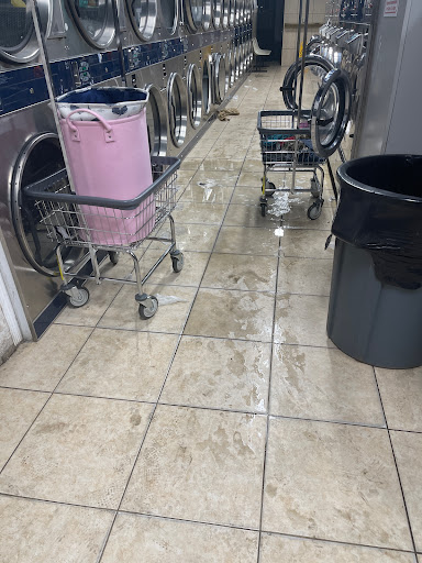 Brightway Laundry - Visual