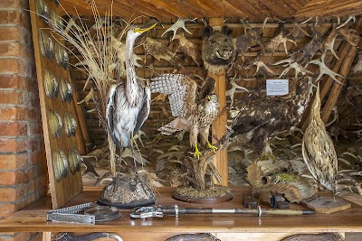 Photos of Purvziedi, Viesu māja