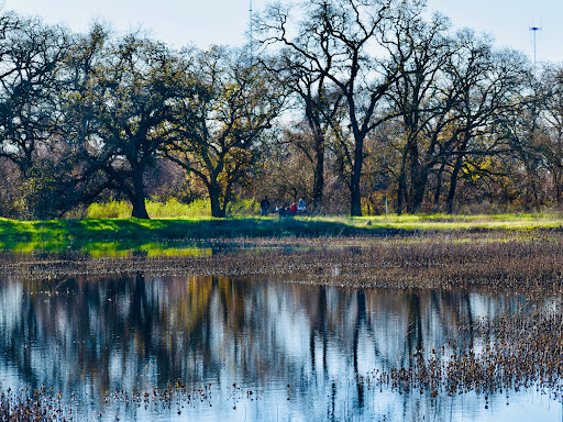 Cosumnes River Preserve - Thumbnail
