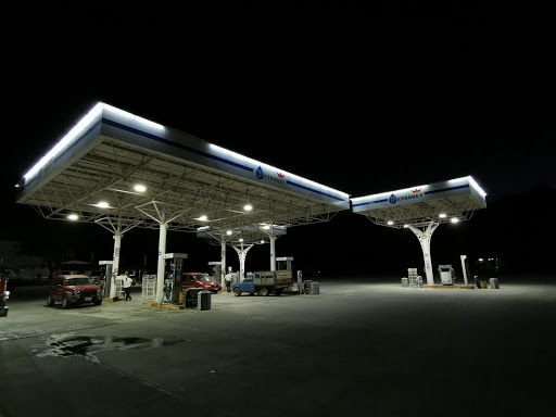 Petrorey - Visual