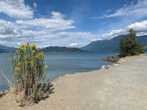 Harrison Lagoon Gallery - Canada