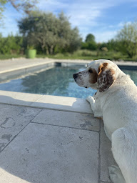 Photo n°36 de Aux coteaux d'Aussac à L'Honor-de-Cos (Chambre d'hôtes)