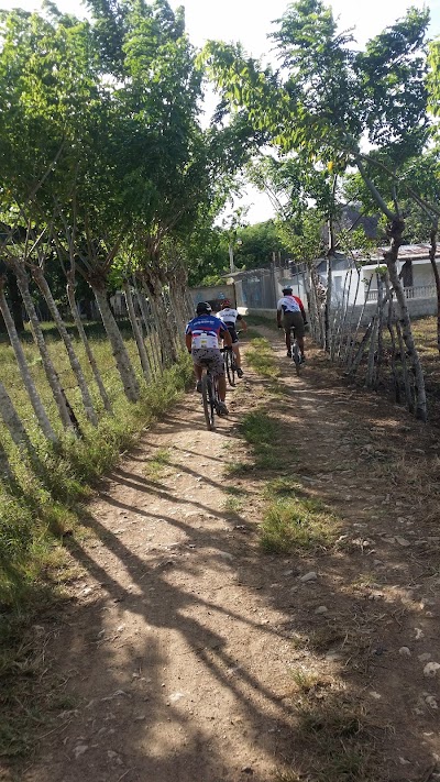 Photos of CULE BIKE