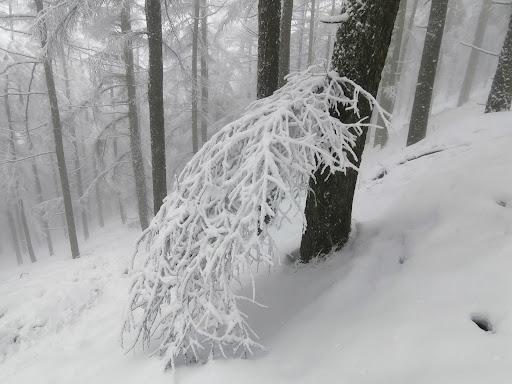 Monte Irimo - Visual