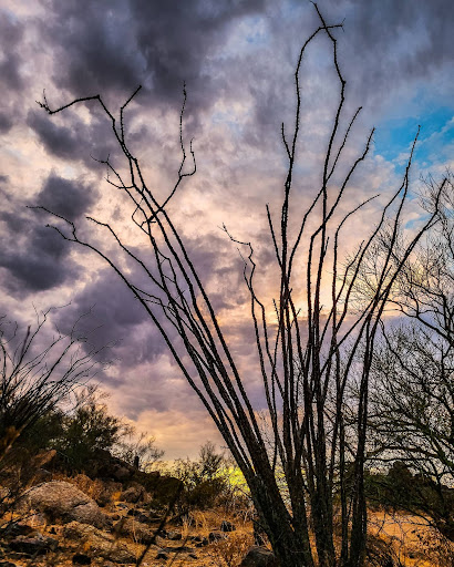 East Wing Mountain Trails - Thumbnail