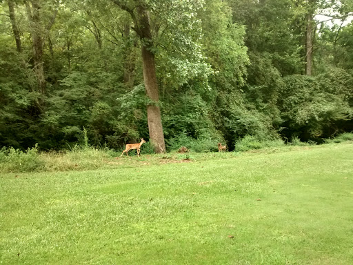 Densons Creek Golf Course - Thumbnail