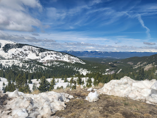 Cottonwood Pass Day use area