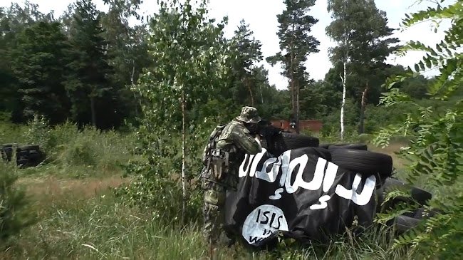 Česká federace airsoftu z.s.