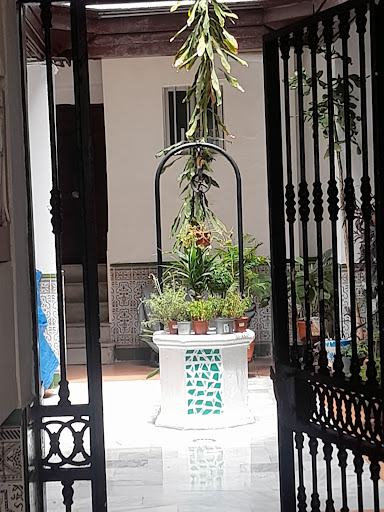 CÁDIZ EN RUTA. Excursiones y visitas guiadas por toda la provincia de Cádiz. Gallery - Spain