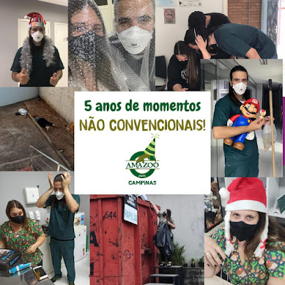 Be Wild Medicina e Oncologia de Pets Não Convencionais