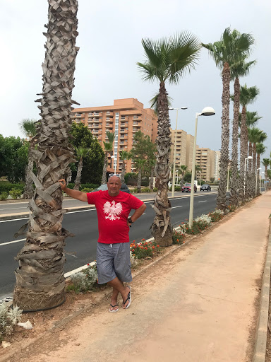 Cementeri de Benicàssim - Thumbnail