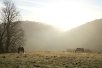 Écolieu le Pradal Haut à Martrin