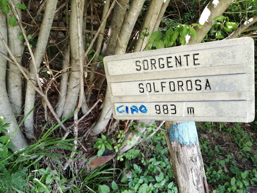 Sorgente Solforosa Logo