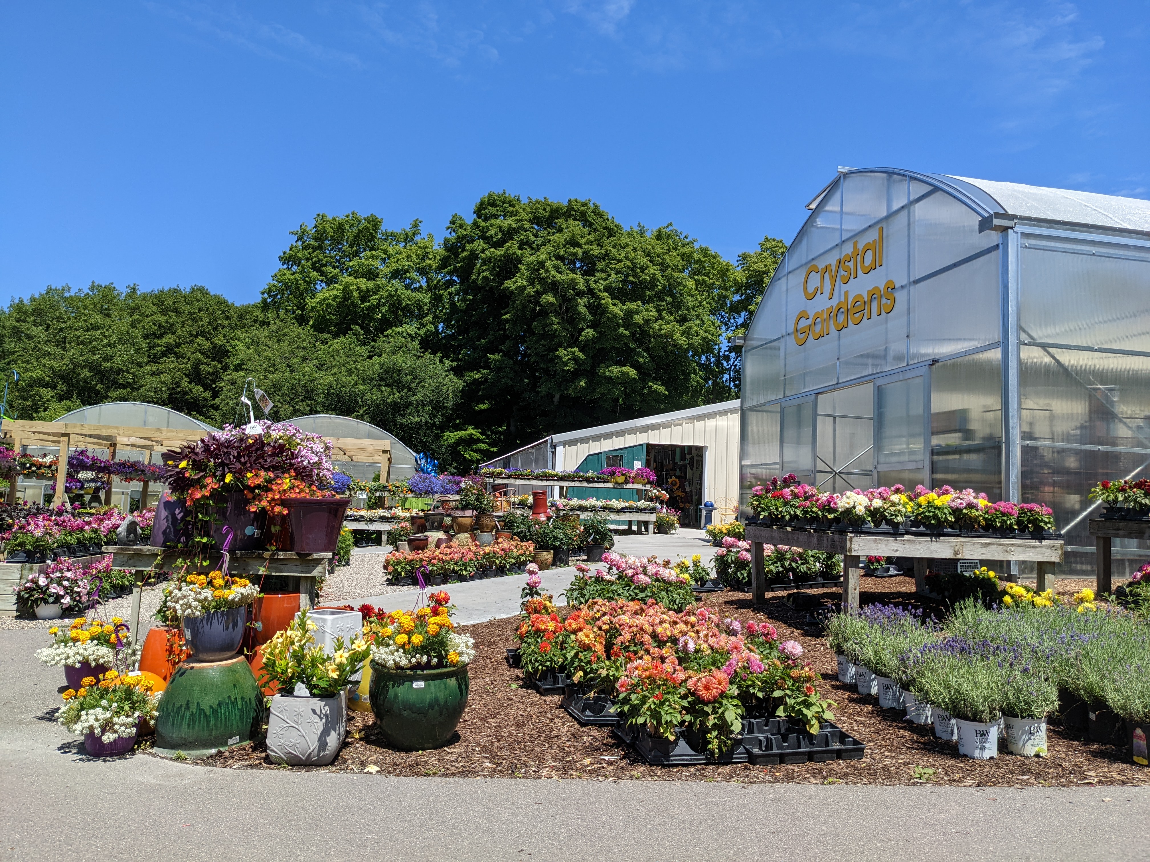 Crystal Gardens