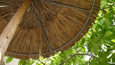 Photos of Hotel Atlantis