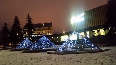 Photos of Cinamon Kosmos