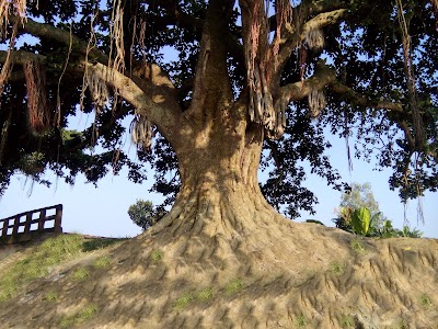 Photos of Chokdhonai Janerpar Boattola