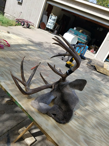 Big Game Management - Thumbnail