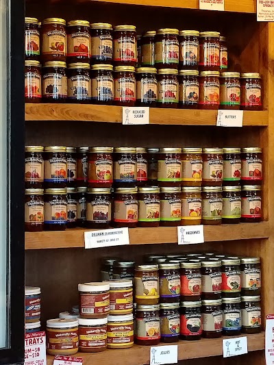 Photos of Great Harvest Bread Co.