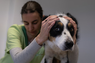 Photo n°23 de CapVeto Confolens à Confolens (Animalerie)