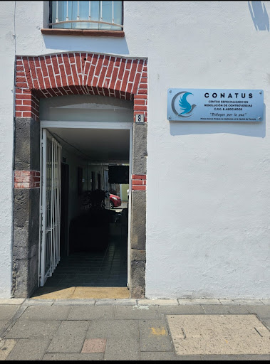 CONATUS - Visual