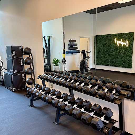 Live Fit Studios - Visual