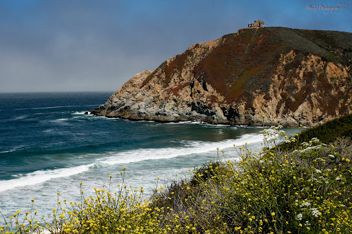 Gray Whale Cove State Beach