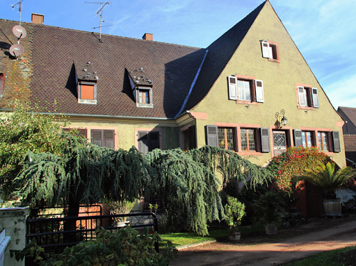 Domaine Dietrich Théo Logo