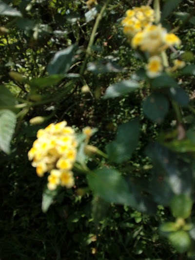 Photos of Bonita Farm Bioparque -Mariposario