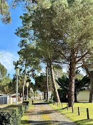 Photo n°6 de La Coulumière à La Tremblade (Terrain de camping)