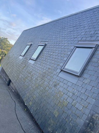 Renovitech - Visual