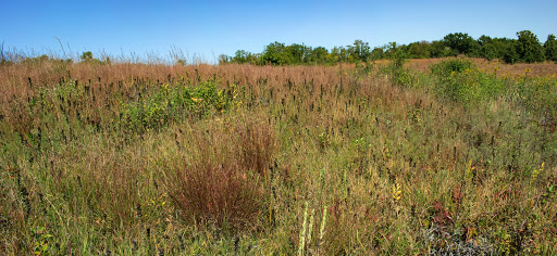 Rock River Prairie State Natural Area Gallery - United States