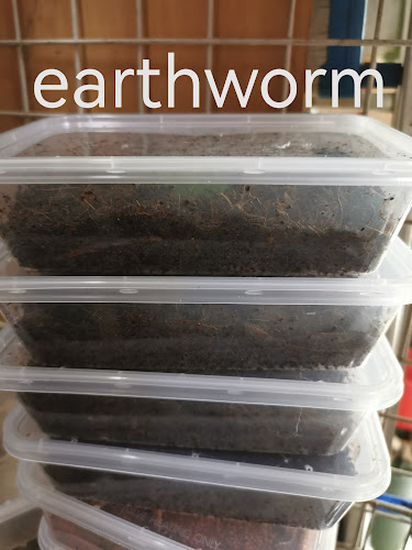 Hong Yang Aquarium N Pets accessories - Singapore