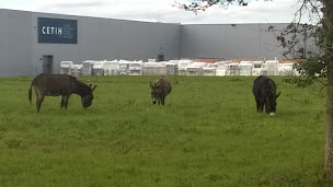 Photo n°26 de CETIH SWAO à Sèvremoine (Fournisseur de portes)