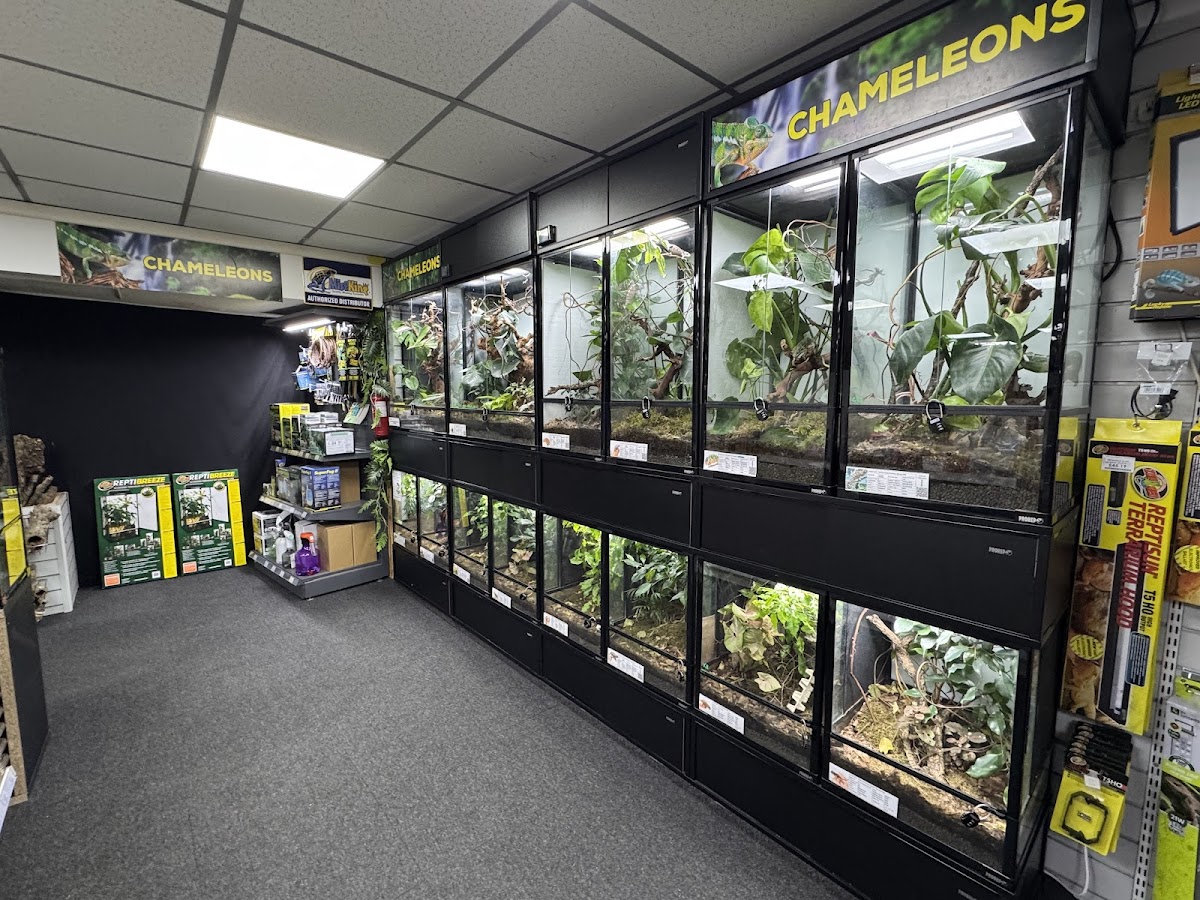 Blackpool Reptiles & Aquatics LTD