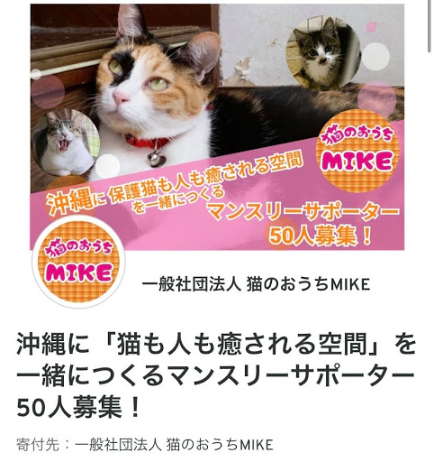 猫カフェ】猫のおうちMIKE（みけ） - 猫を愛でて癒される猫空間です 