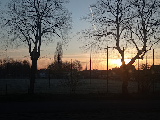 Sportplatz Frose - Thumbnail